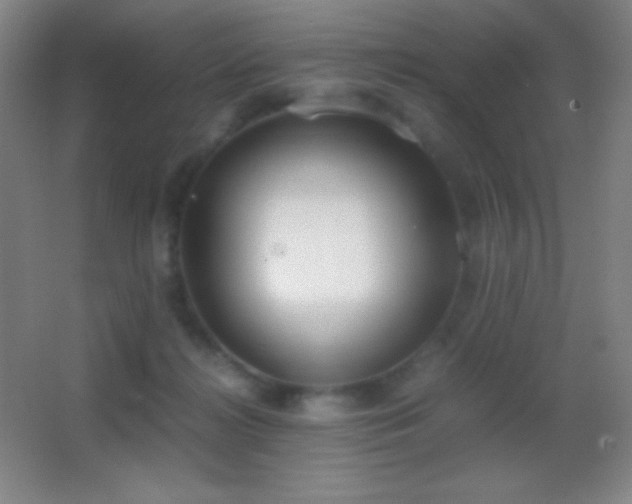 X0000062900268200601131408