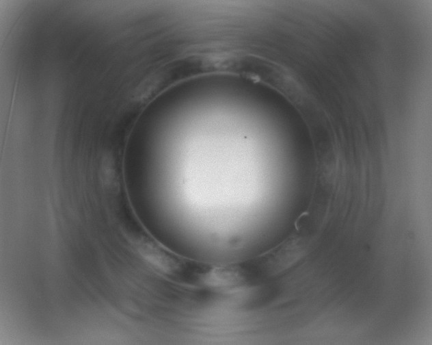 X0000062900270200601131408