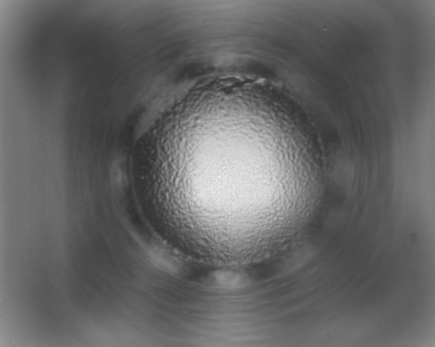 X0000062900272200601131408