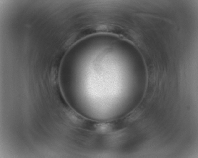 X0000062900273200601131408