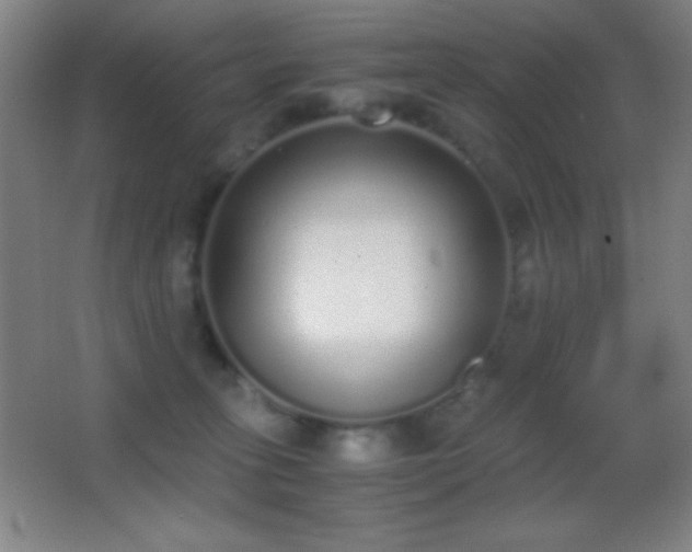 X0000062900275200601131408