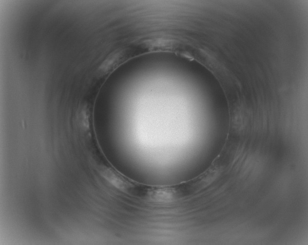 X0000062900282200601131408