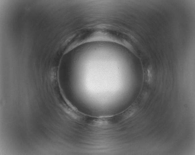 X0000062900284200601131408