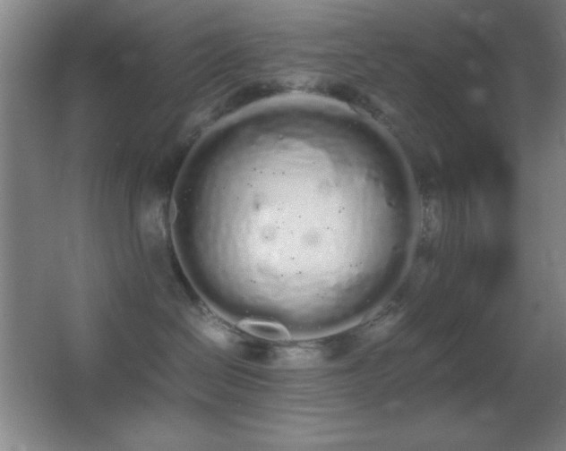 X0000062900286200601131408