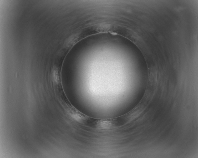 X0000062900287200601131408