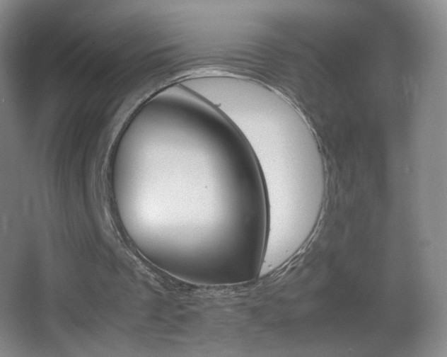 X0000062900289200601131407