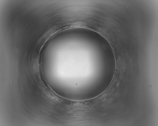 X0000062900290200601131407