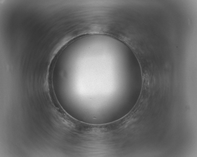 X0000062900292200601131407