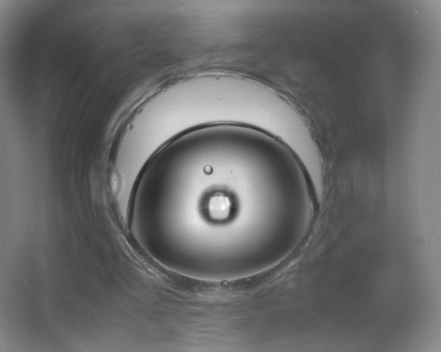 X0000062900293200601131407