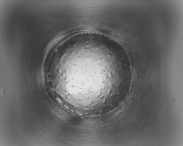 X0000062900294200601131407