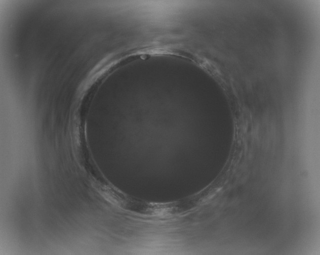 X0000062900295200601131407