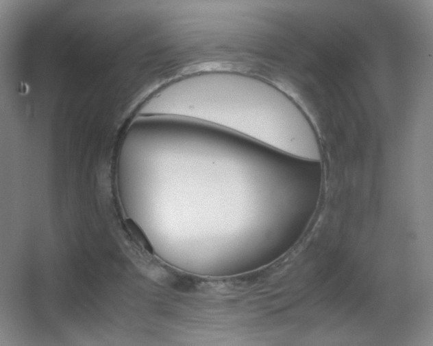 X0000062900297200601131407