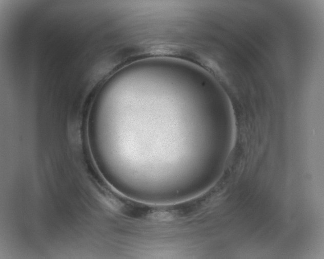 X0000062900299200601131407
