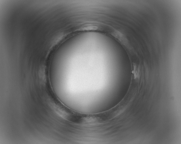 X0000062900300200601131407