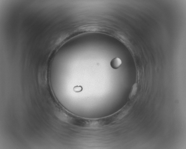X0000062900301200601131407