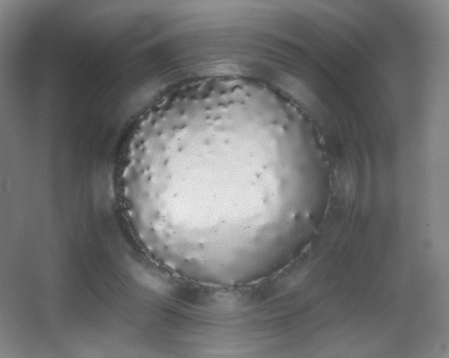 X0000062900302200601131407