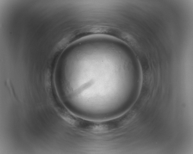 X0000062900303200601131407