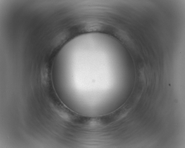 X0000062900308200601131407