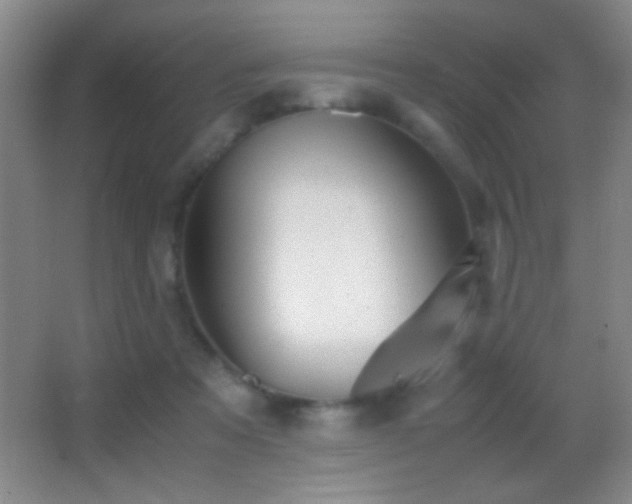 X0000062900313200601131407