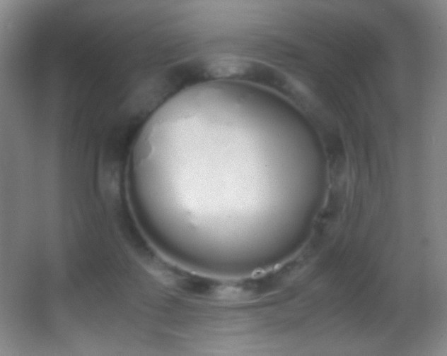 X0000062900315200601131407