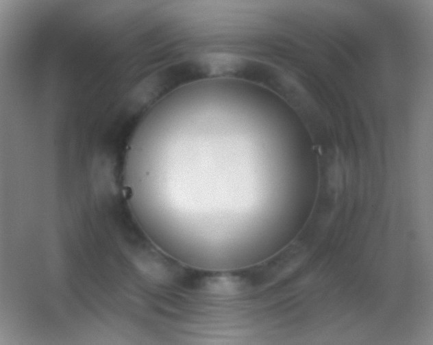 X0000062900316200601131407