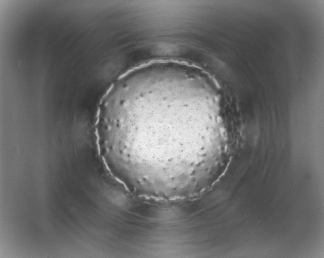 X0000062900322200601131407