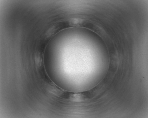 X0000062900324200601131407