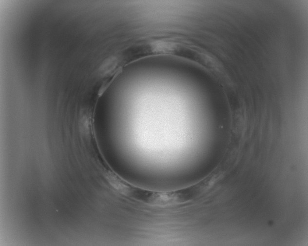 X0000062900329200601131407