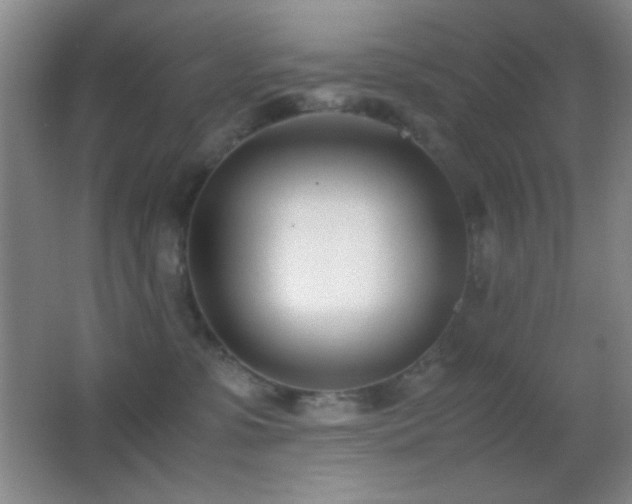 X0000062900331200601131407
