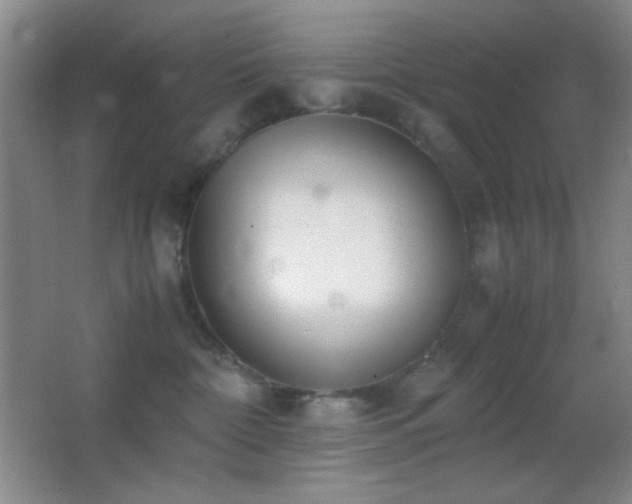 X0000062900332200601131407
