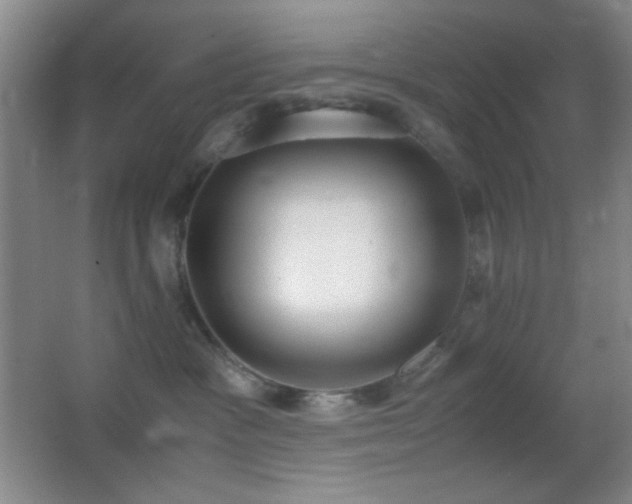 X0000062900333200601131407