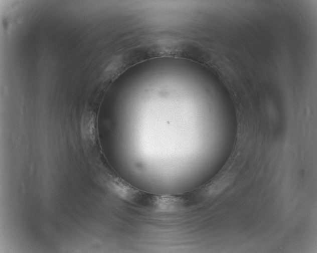 X0000062900336200601131407