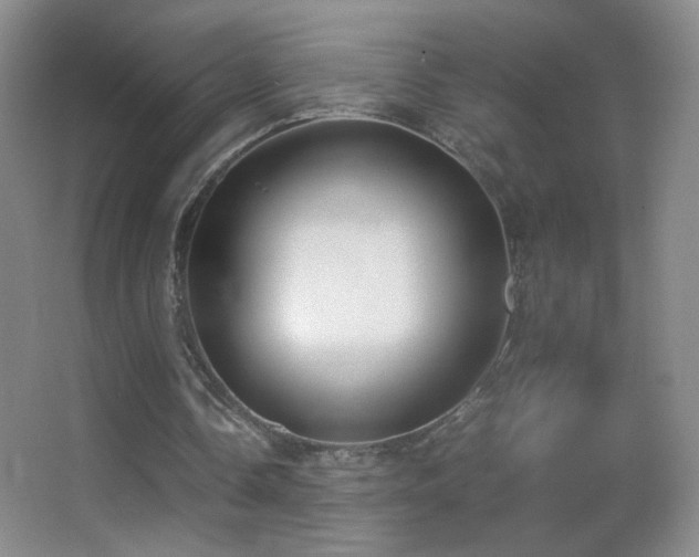 X0000062900338200601131406