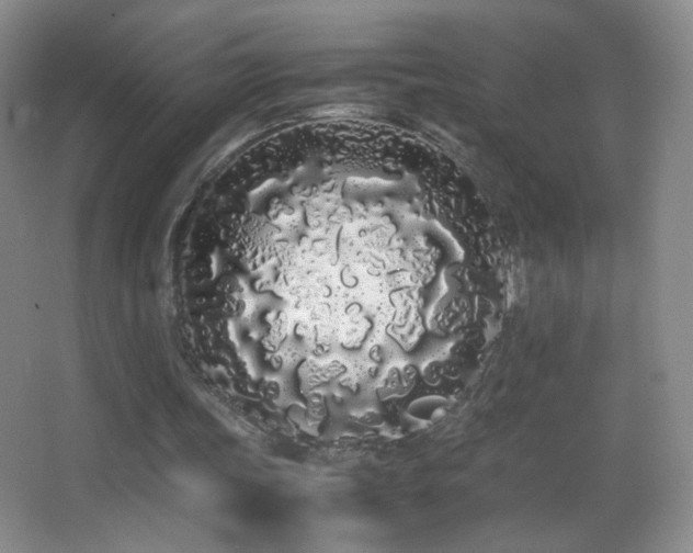 X0000062900339200601131406