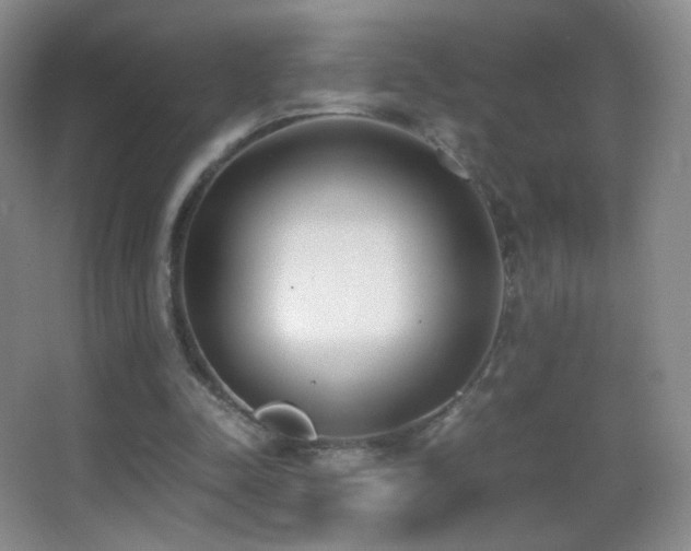 X0000062900342200601131406