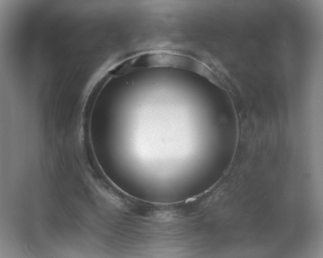 X0000062900344200601131406
