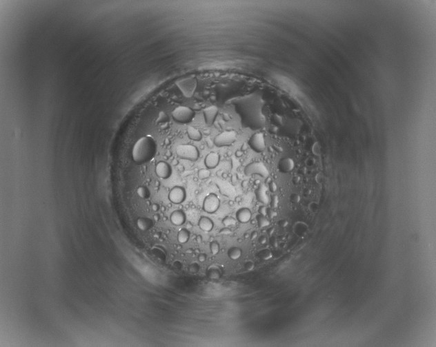 X0000062900346200601131406