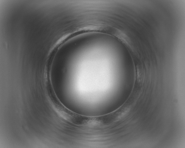 X0000062900348200601131406