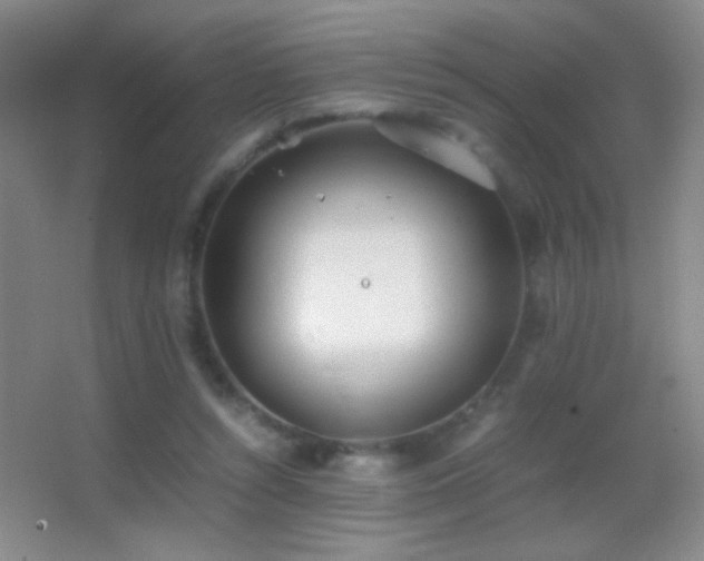X0000062900352200601131406