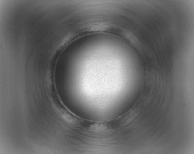 X0000062900354200601131406