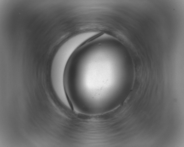 X0000062900356200601131406