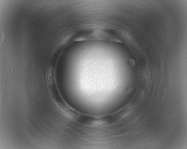 X0000062900360200601131406