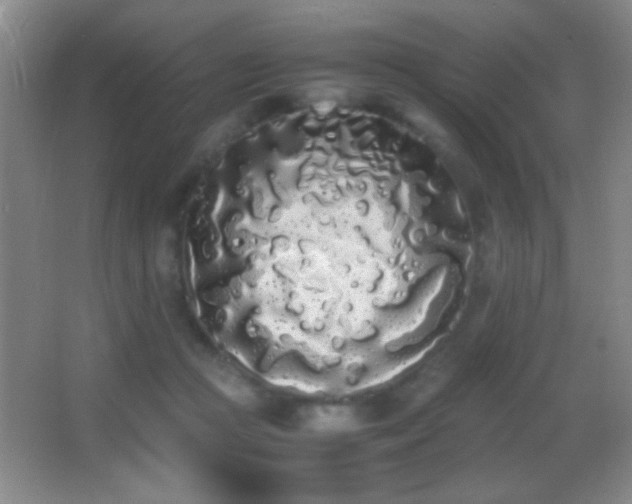 X0000062900361200601131406
