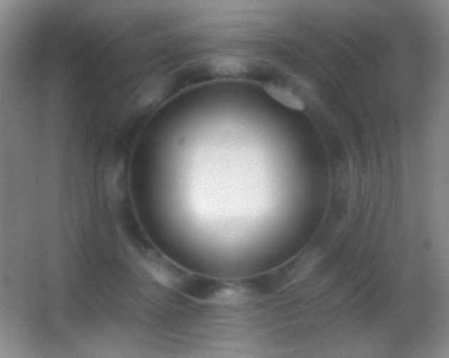 X0000062900364200601131406