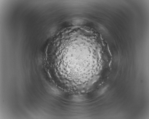 X0000062900367200601131406