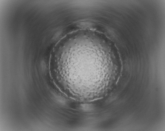 X0000062900371200601131406