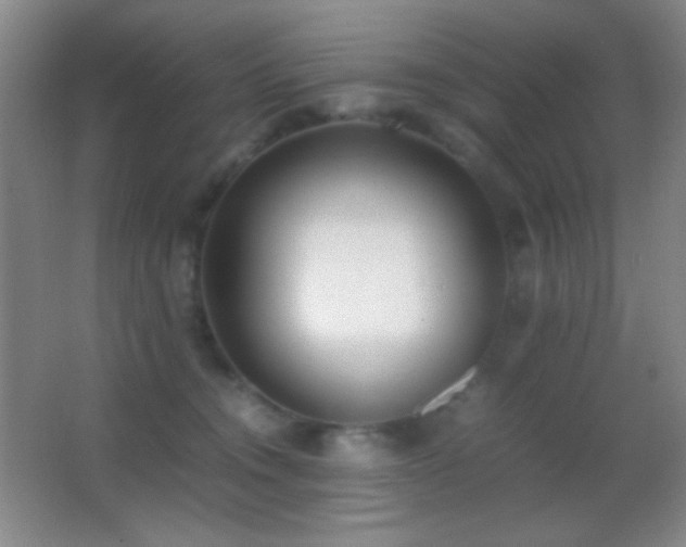 X0000062900372200601131406