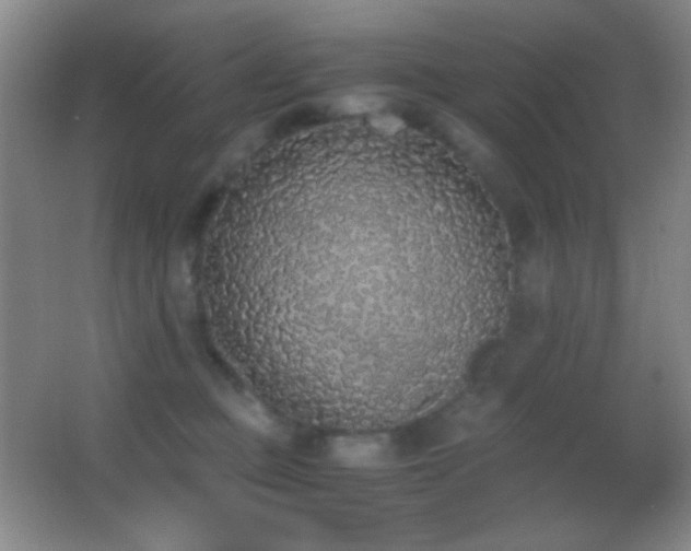 X0000062900373200601131406