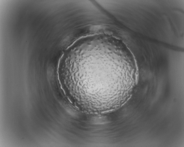 X0000062900375200601131406