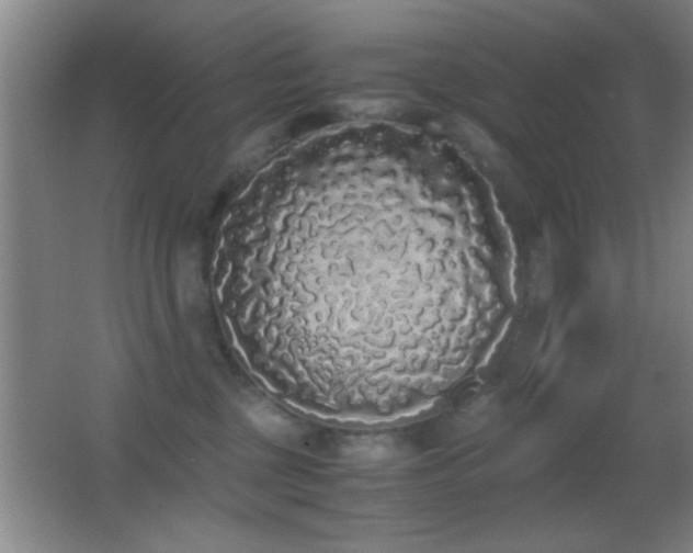 X0000062900377200601131406